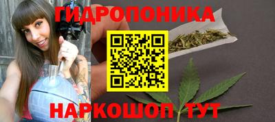 гидра Гусь-Хрустальный