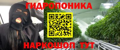 индика Беслан